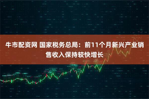 牛市配资网 国家税务总局：前11个月新兴产业销售收入保持较快增长