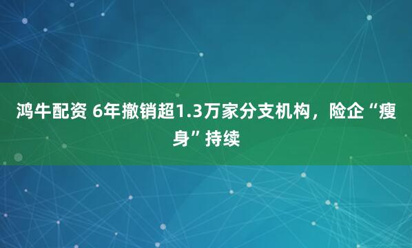 鸿牛配资 6年撤销超1.3万家分支机构，险企“瘦身”持续