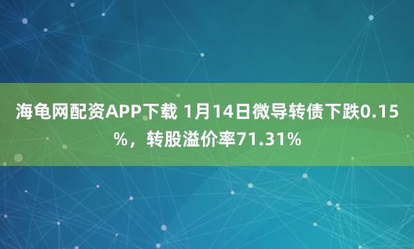 海龟网配资APP下载 1月14日微导转债下跌0.15%，转股溢价率71.31%