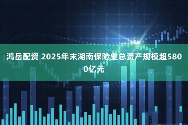 鸿岳配资 2025年末湖南保险业总资产规模超5800亿元